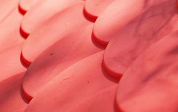 Danegate plastic roof costs