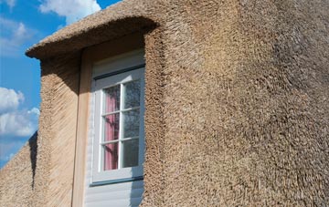 Danegate thatch roof disadvantages
